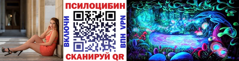 Псилоцибиновые грибы мухоморы где купить Великий Устюг